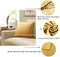 Set of 2 Gold Velvet Decorative Throw Pillow Covers 18x18 Inch, Soft Cushion Covers for Couch, Sofa, and Bed